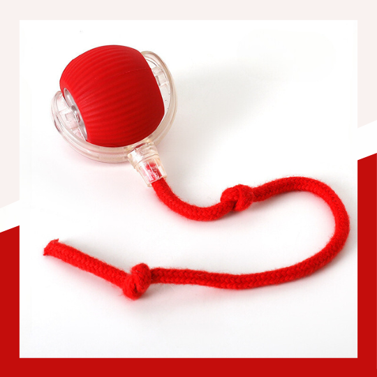 Pet Rolling Ball - Pet Supplies Australia