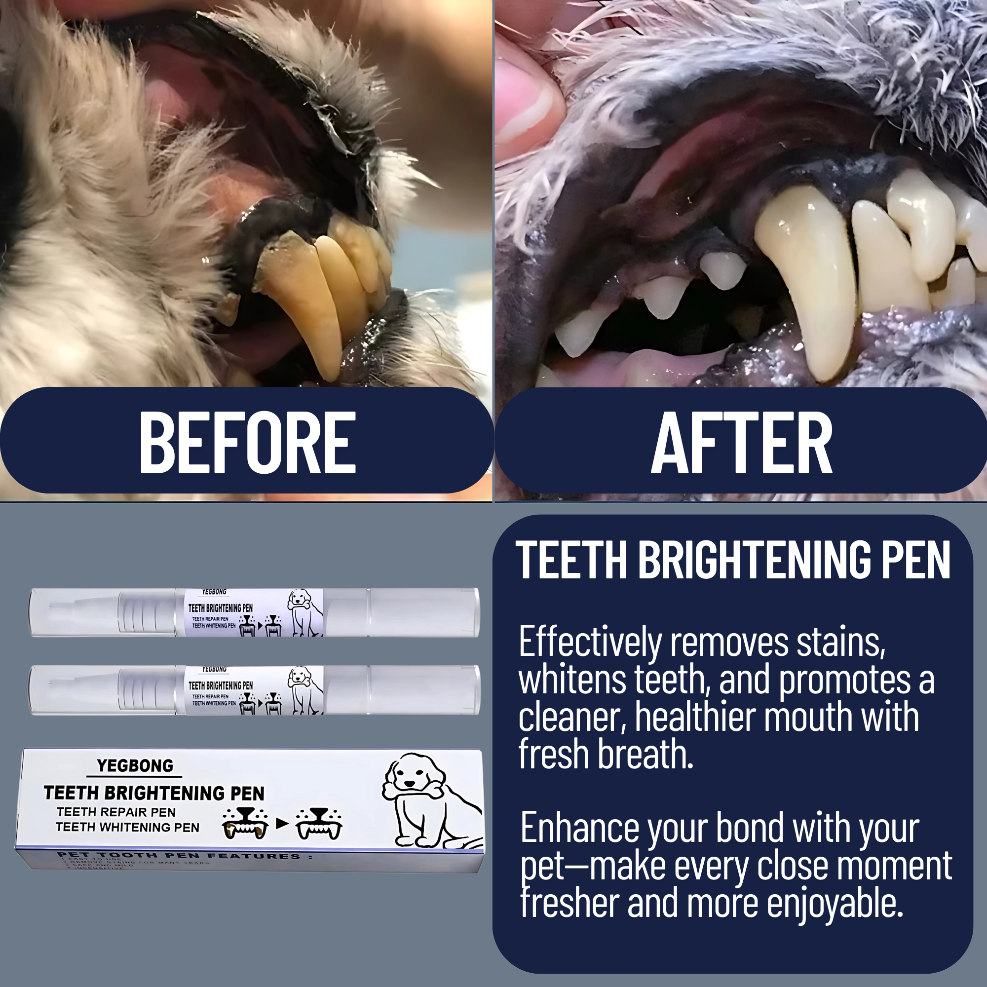 Dog Toothbrush Pen - Pet Supplies Australia