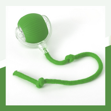 Load image into Gallery viewer, Pet Rolling Ball - Pet Supplies Australia
