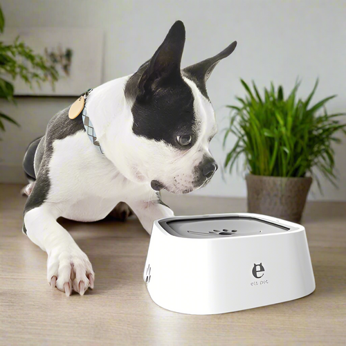 Pet Water Bowl - Pet Supplies Australia