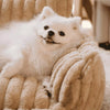 Orthopaedic Soft Pet Sofa Bed (Pre-Order) - Pet Supplies Australia