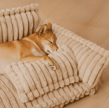 Load image into Gallery viewer, Orthopaedic Soft Pet Sofa Bed (Pre-Order) - Pet Supplies Australia
