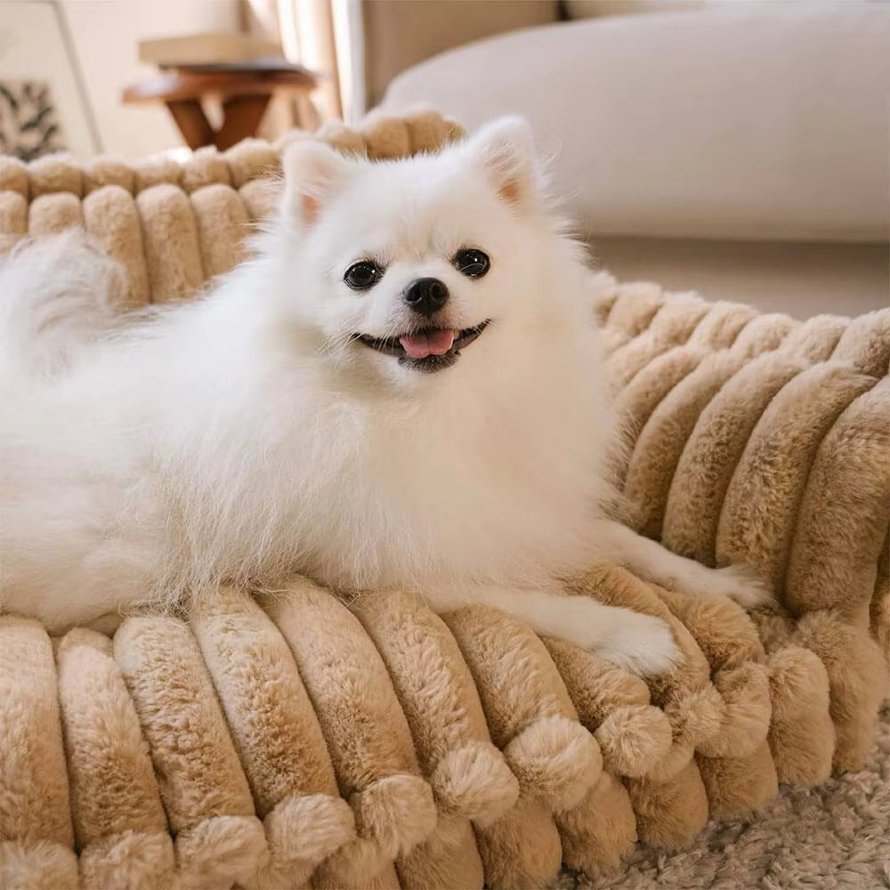 Orthopaedic Soft Pet Sofa Bed (Pre-Order) - Pet Supplies Australia
