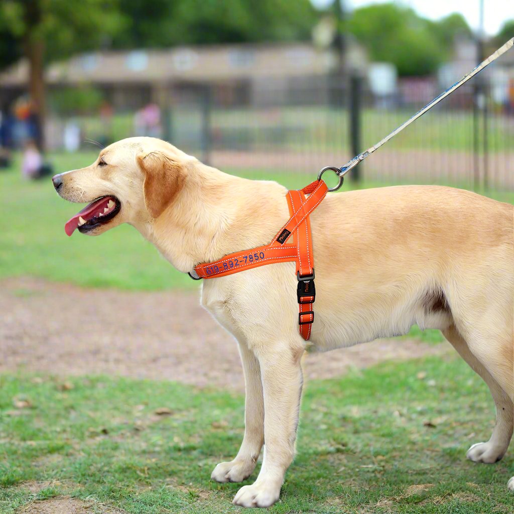 Personalised Embroidered Dog Harness - Pet Supplies Australia