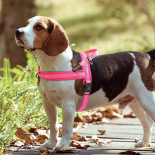 Load image into Gallery viewer, Personalised Embroidered Dog Harness - Pet Supplies Australia
