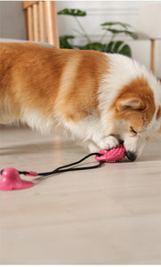 Silicone Suction Cup Pet Toy - Pet Supplies Australia