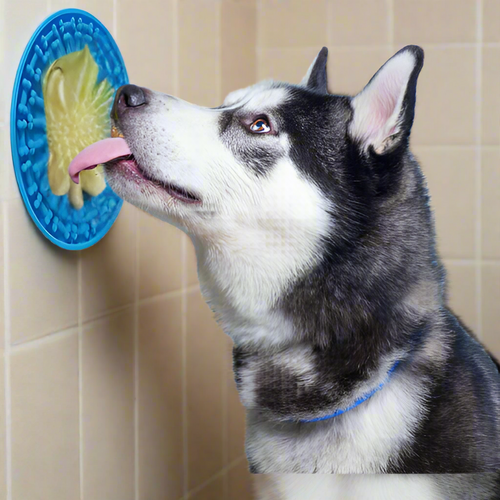 Dog Lick Bath Pad - Pet Supplies Australia