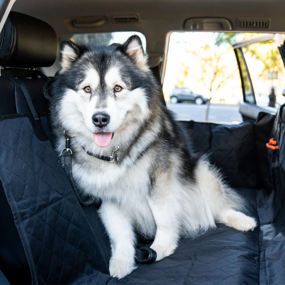 Waterproof Pet Car Seat Cover With Mesh Window + Free Buckle Leash - Pet Supplies Australia