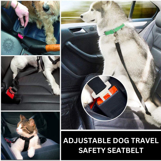 Collage showing Adjustable Dog Travel Safety Seatbelt used on dogs and cat in car