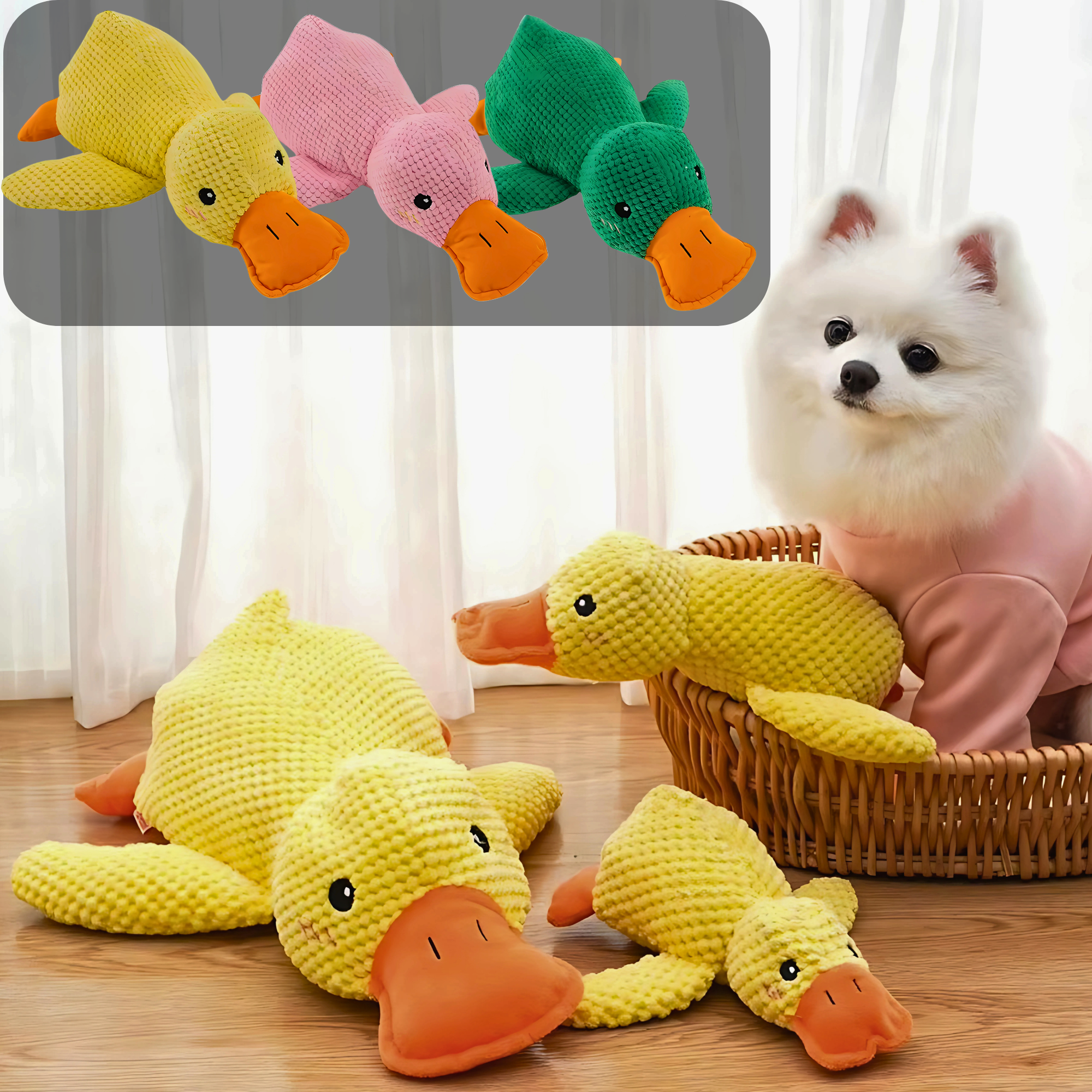 White Pomeranian dog with yellow, pink and green Calming Duck Toys in multiple sizes beside a wicker basket