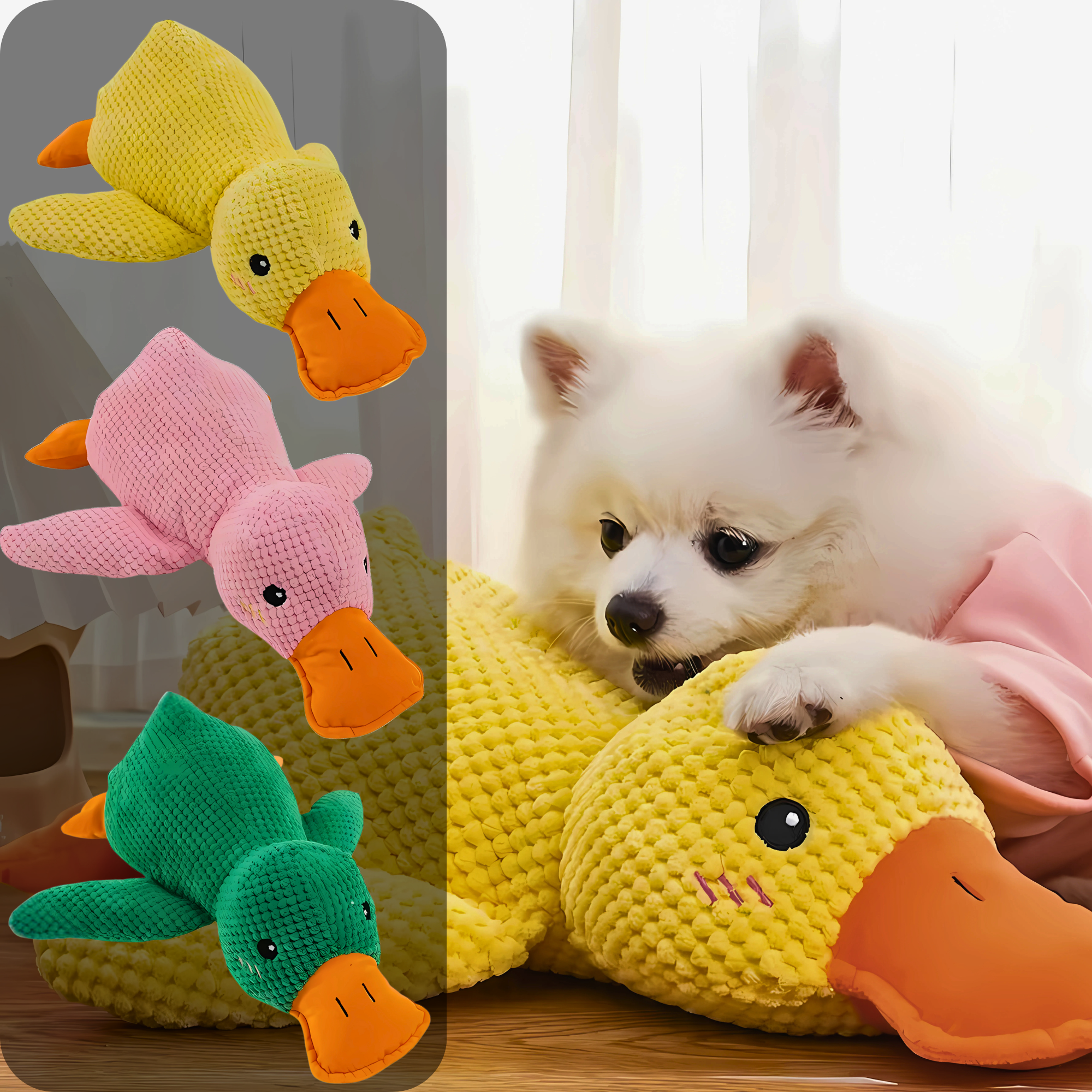 White Pomeranian dog cuddling a yellow Calming Duck Toy, with pink and green colour variants shown alongside