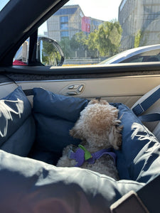 Waterproof Pet Booster Seat & Travel Carrier