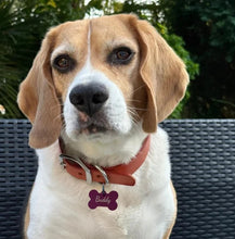 Load image into Gallery viewer, Personalised Customised Aluminium Pet ID Tag
