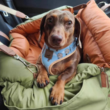 Load image into Gallery viewer, Waterproof Pet Booster Seat &amp; Travel Carrier
