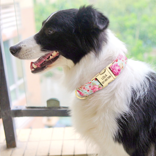Personalised Dog Collar - FREE ENGRAVING - Pet Supplies Australia