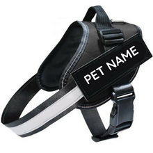 Load image into Gallery viewer, Safety No Pull Dog Harness - Pet Supplies Australia
