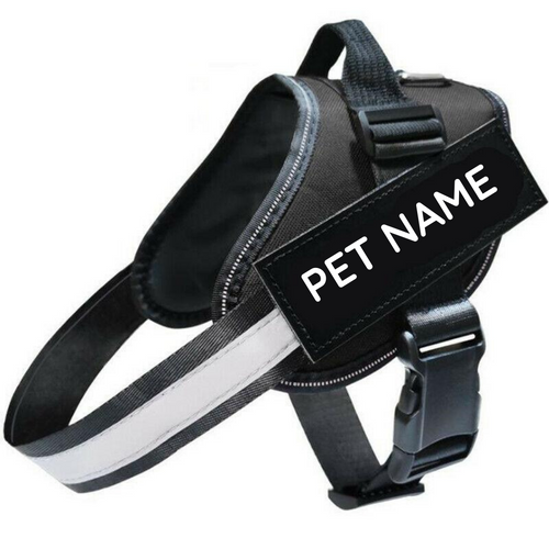 Safety No Pull Dog Harness - Pet Supplies Australia