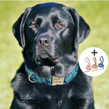 Load image into Gallery viewer, Personalised Dog Collar - FREE ENGRAVING - Pet Supplies Australia
