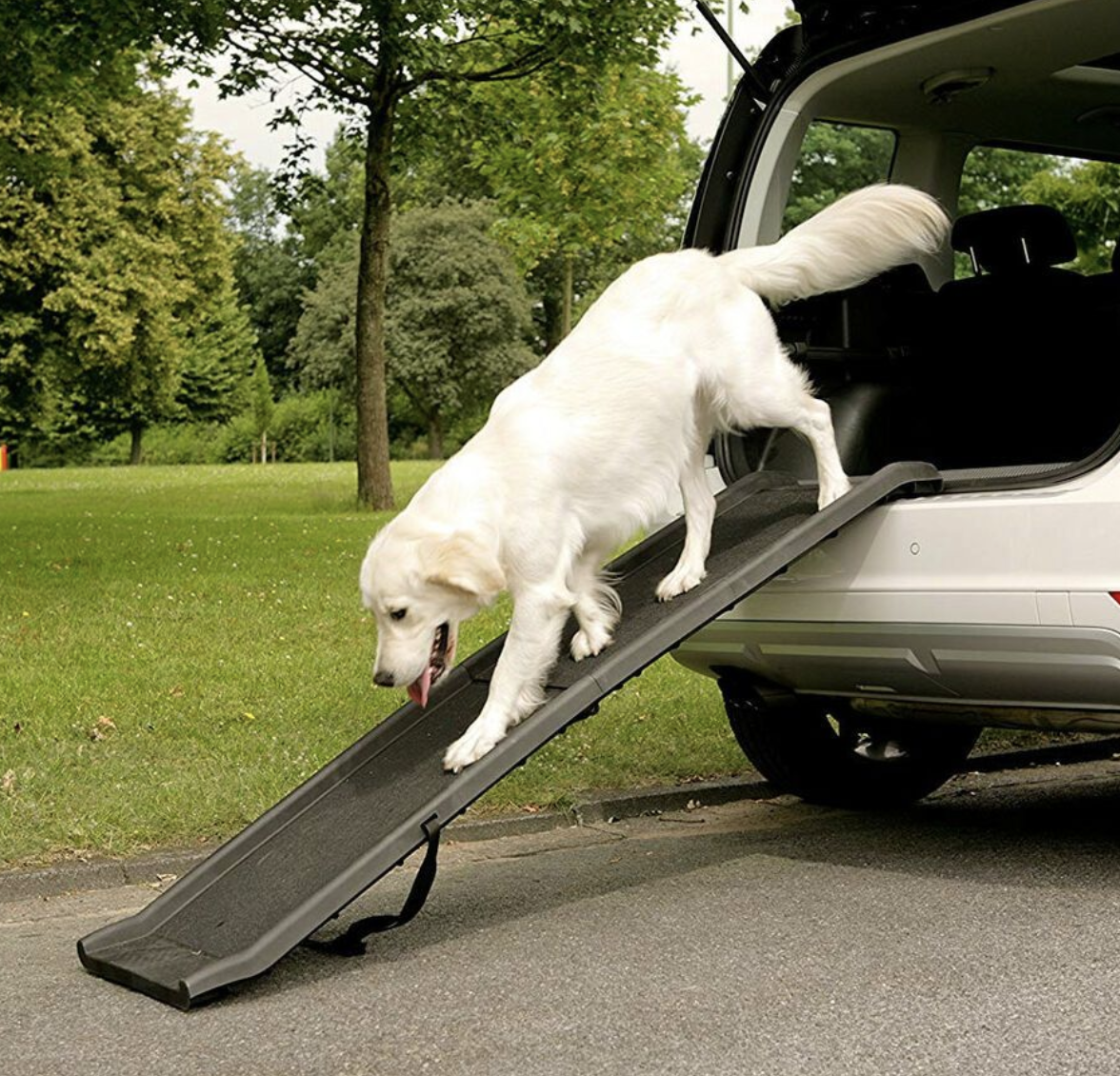 Portable Foldable Dog Ramp - Pet Supplies Australia