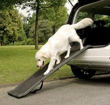 Load image into Gallery viewer, Portable Foldable Dog Ramp - Pet Supplies Australia
