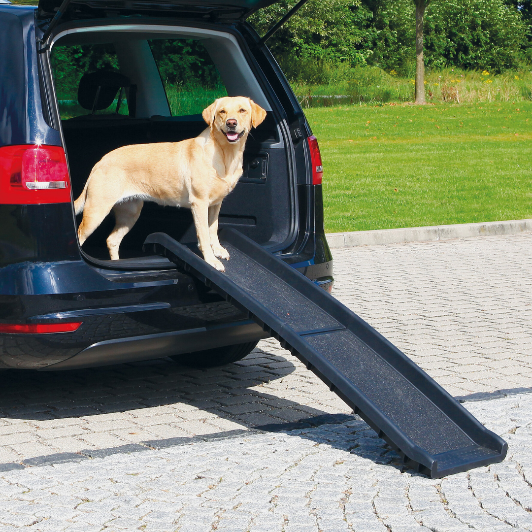 Portable Foldable Dog Ramp - Pet Supplies Australia
