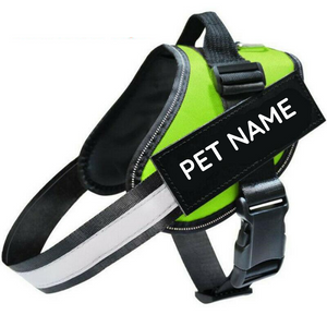 Safety No Pull Dog Harness - Pet Supplies Australia
