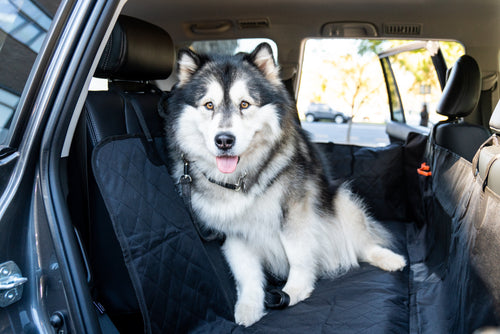 Waterproof Pet Car Seat Cover With Mesh Window + Free Buckle Leash - Pet Supplies Australia