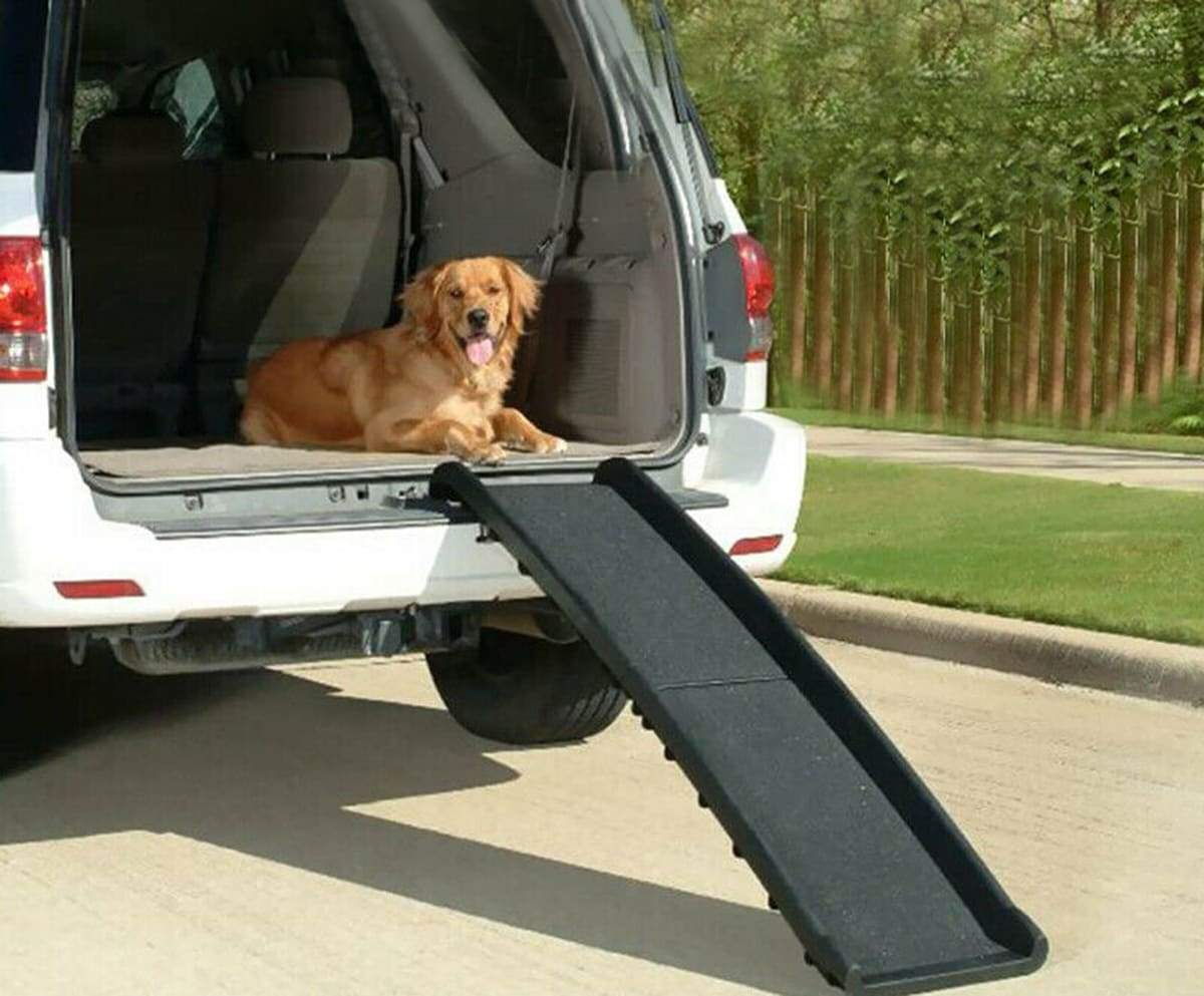 Portable Foldable Dog Ramp - Pet Supplies Australia
