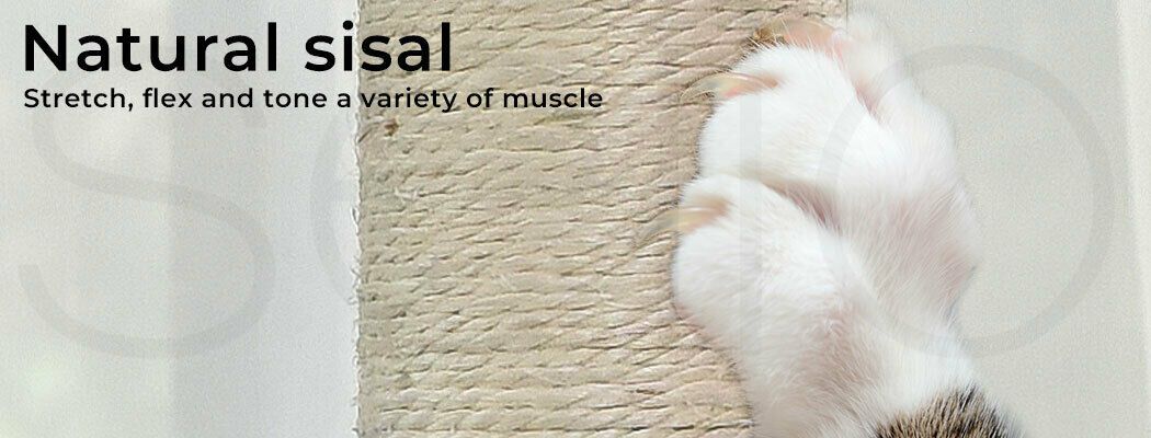 Close-up of a cat paw gripping a natural sisal scratching post with text reading Natural sisal