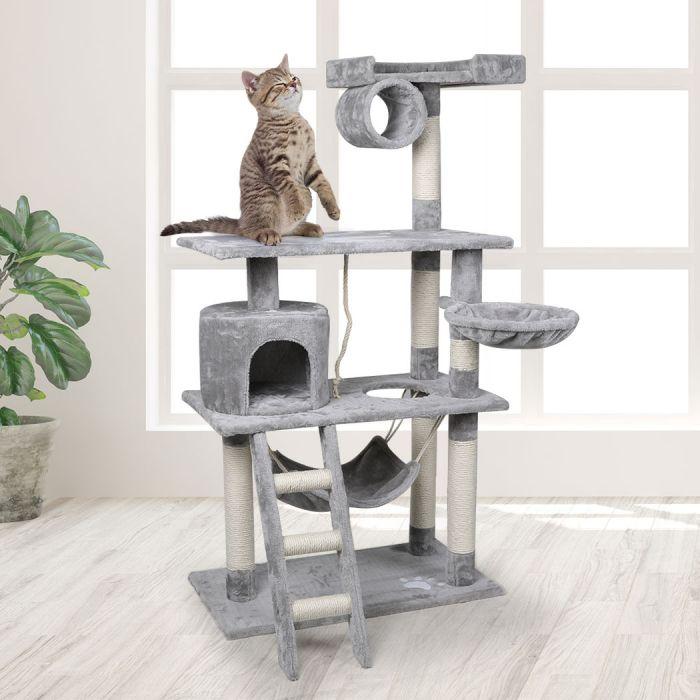 Light grey cat scratching tree with tabby cat on platform beside bright window and indoor plant