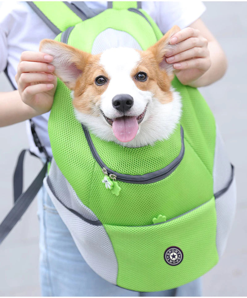 Corgi peering out of green mesh Dog Backpack held by person