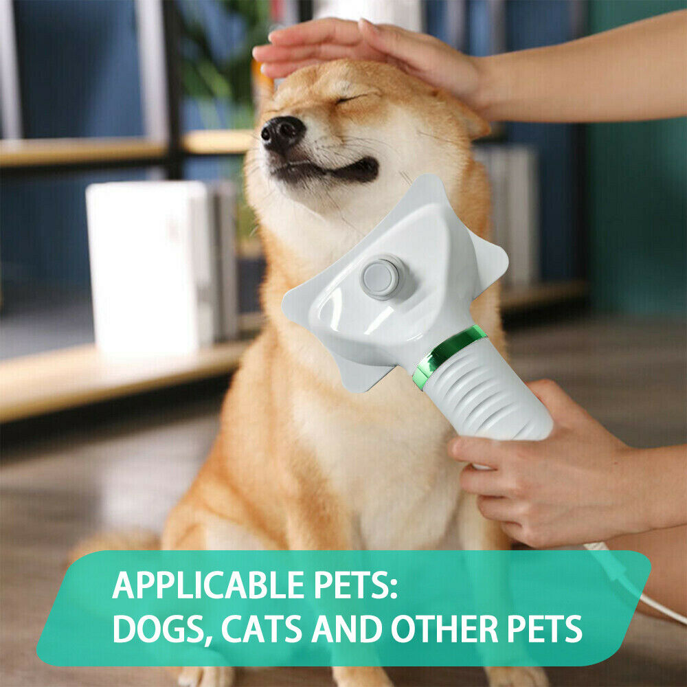 2-in-1 Pet Hair Dryer Brush - Pet Supplies Australia
