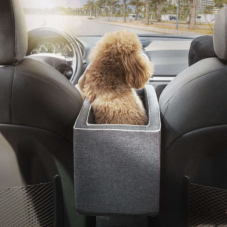 Golden doodle dog facing forward in a grey console pet travel bed between car seats