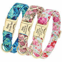 Load image into Gallery viewer, Personalised Dog Collar - FREE ENGRAVING - Pet Supplies Australia
