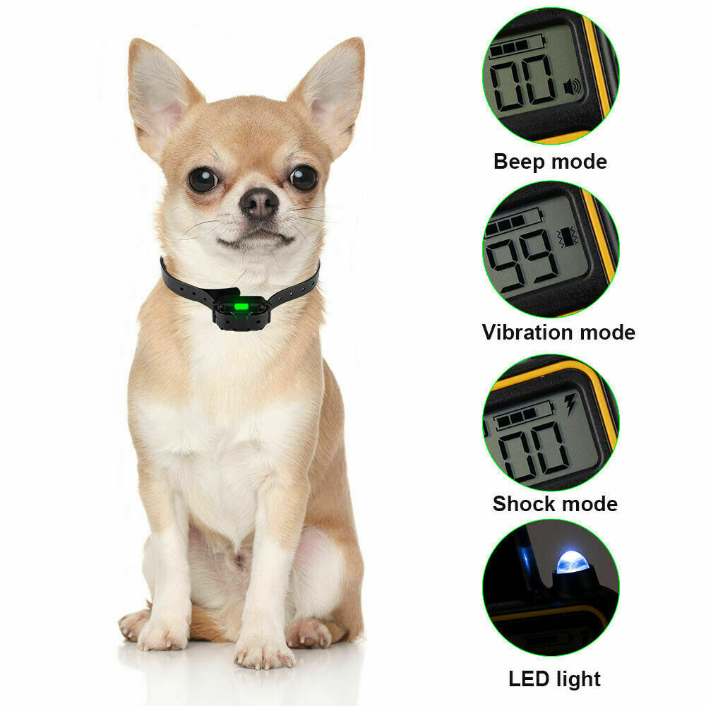 Dog Training E-Collar