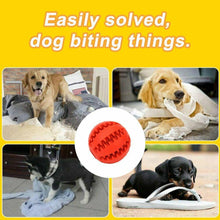 Load image into Gallery viewer, Teeth Cleaning Dog Chew Treat Ball - Pet Supplies Australia
