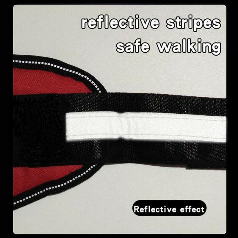 Safety No Pull Dog Harness - Pet Supplies Australia