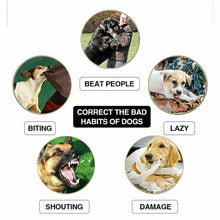 Load image into Gallery viewer, Electric Dog Training Collar

