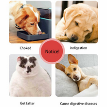 Load image into Gallery viewer, Pets Slow Feeder Dog Bowl - Pet Supplies Australia
