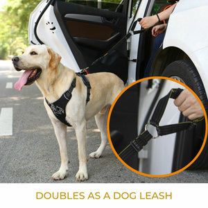 Dog Seat Belt for Cars, Headrest Restraint - Pet Supplies Australia