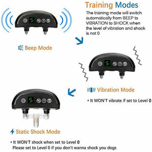 Electric Dog Training Collar 