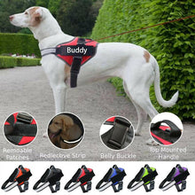 Load image into Gallery viewer, Safety No Pull Dog Harness - Pet Supplies Australia
