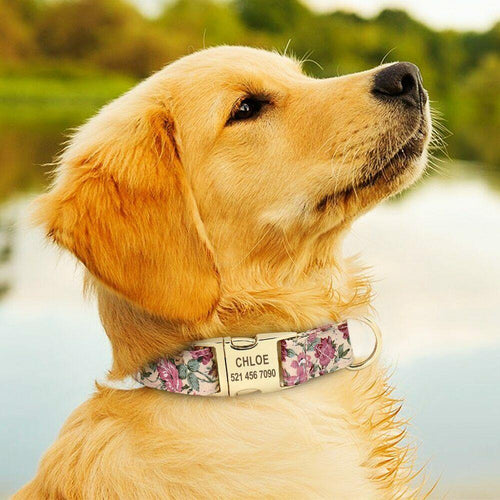 Personalised Dog Collar - FREE ENGRAVING - Pet Supplies Australia