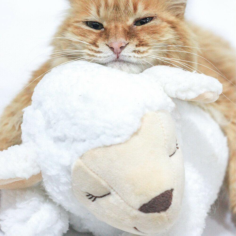 Heartbeat Buddy for Pets - Pet Supplies Australia