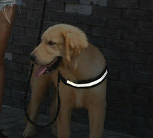 Load image into Gallery viewer, Safety No Pull Dog Harness - Pet Supplies Australia
