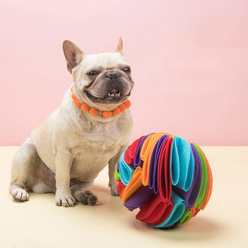 Snuffle Dog Ball - Pet Supplies Australia