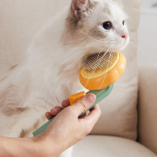 Load image into Gallery viewer, Pumpkin Pet Brush - Pet Supplies Australia
