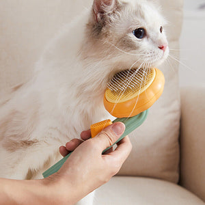 Pumpkin Pet Brush - Pet Supplies Australia