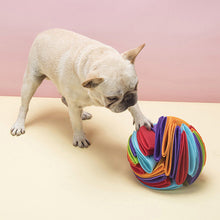 Load image into Gallery viewer, Snuffle Dog Ball - Pet Supplies Australia
