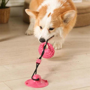Silicone Suction Cup Toy - Pet Supplies Australia